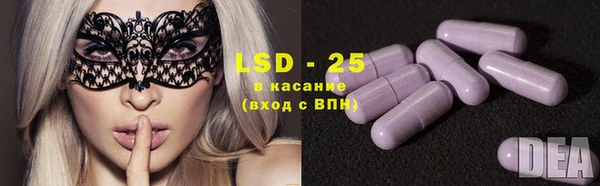 индика Алзамай