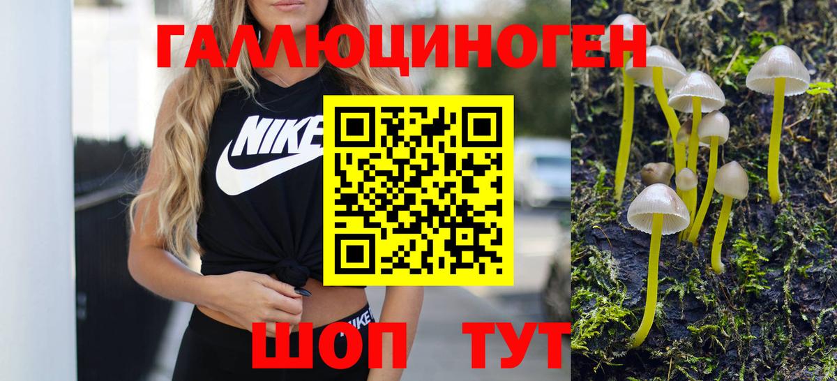 Псилоцибиновые грибы MAGIC MUSHROOMS  Вход с VPN  Псилоцибиновые грибы GOLDEN TEACHER  Лосино-Петровский 